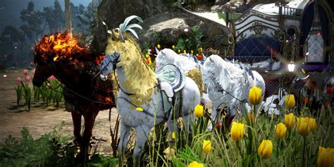 bdo dream horse training guide.